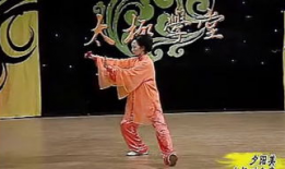 功夫扇视频,传统武术与现代韵律的完美融合